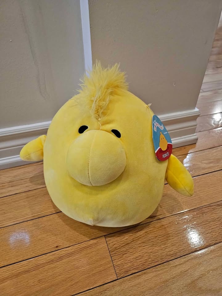 Squishmellow Peanuts Woodstock