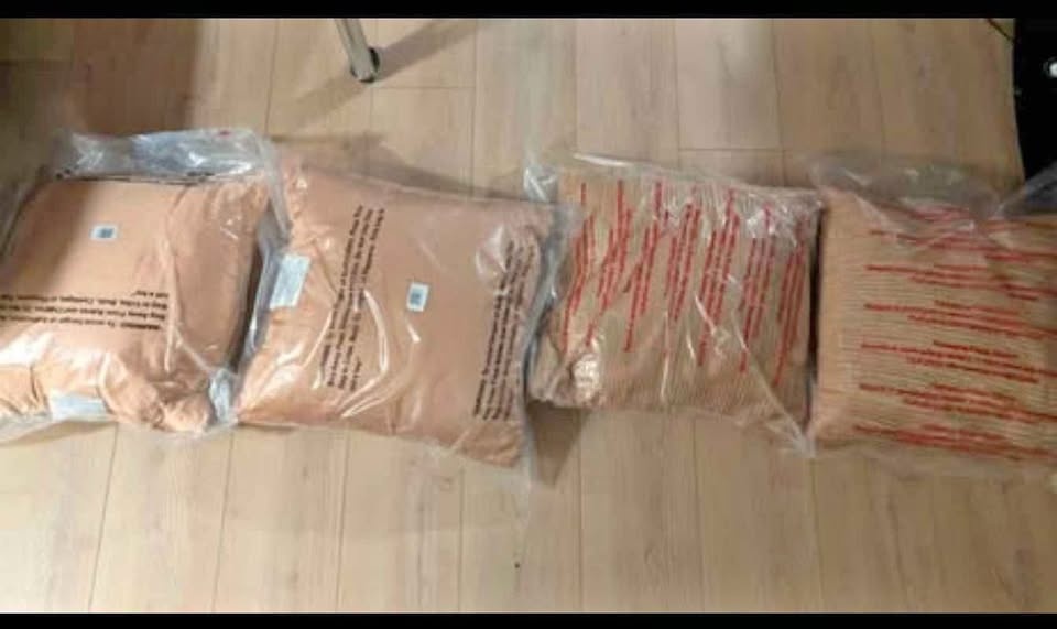 SET OF 4: NEW Threshold Blush & Gold Decorative Pillows