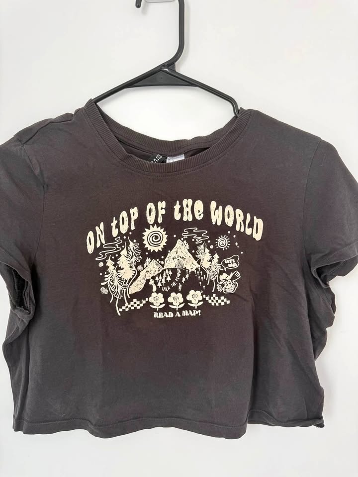 H&M On Top Of The World Graphic Crop Top Tee L
