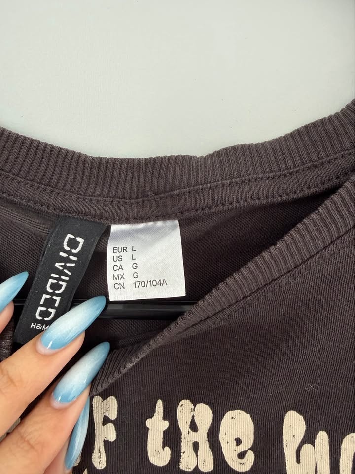 H&M On Top Of The World Graphic Crop Top Tee L - photo 2