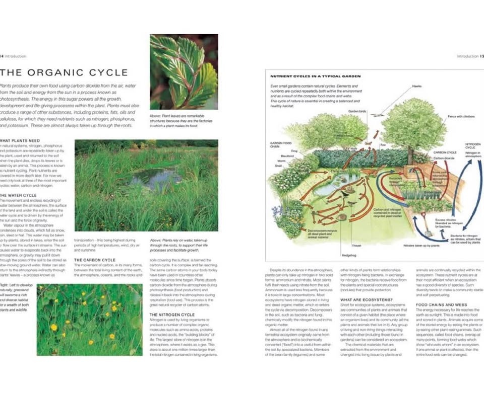 Organic Gardening Recipe Book: 150 Recipes, Grow Herbs/Veggies - photo 3
