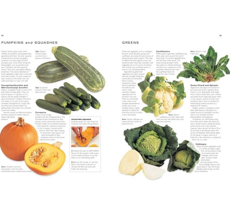 Organic Gardening Recipe Book: 150 Recipes, Grow Herbs/Veggies - photo 4