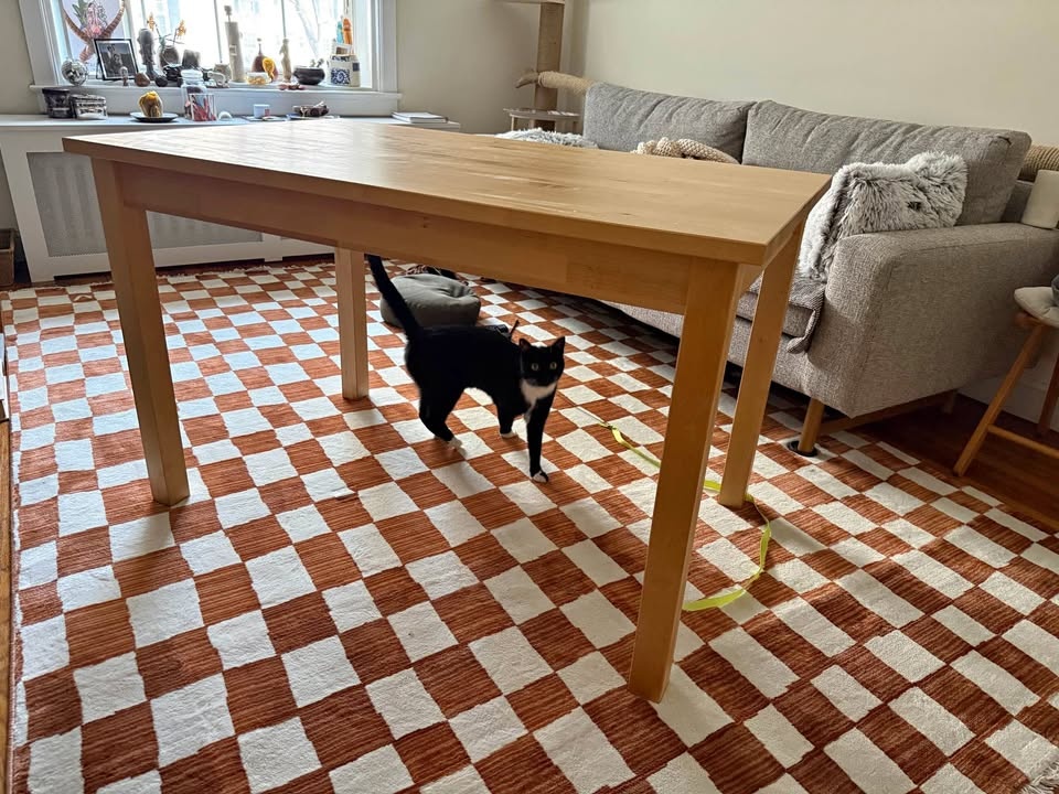 IKEA Bjorkudden Birch Table