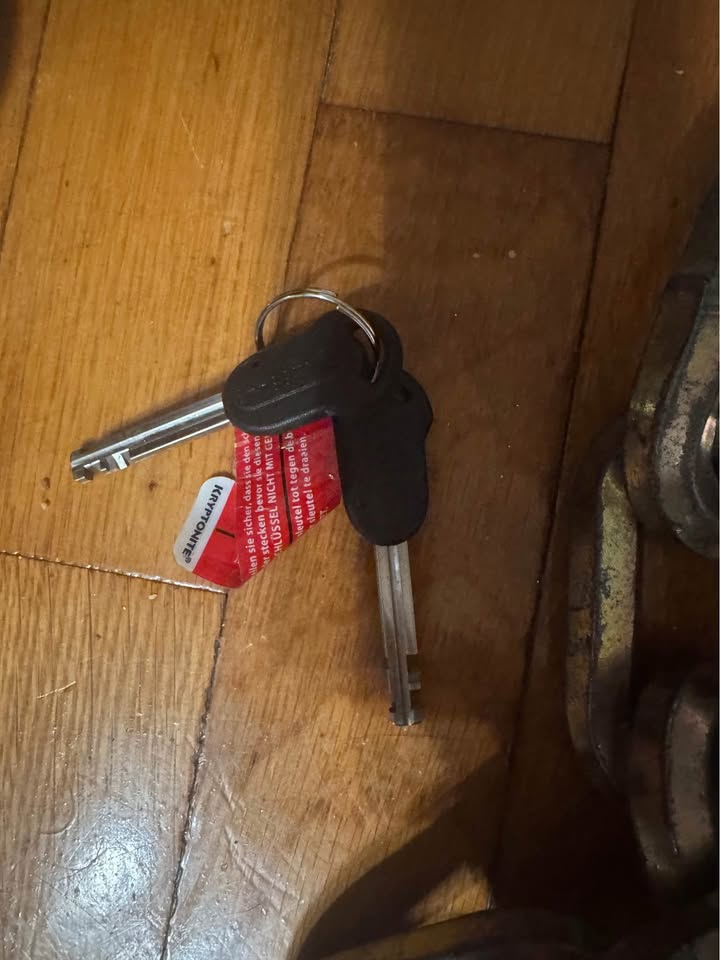 Kryptonite Evolution Series 4 Chain Lock + Keys – $120 - photo 3