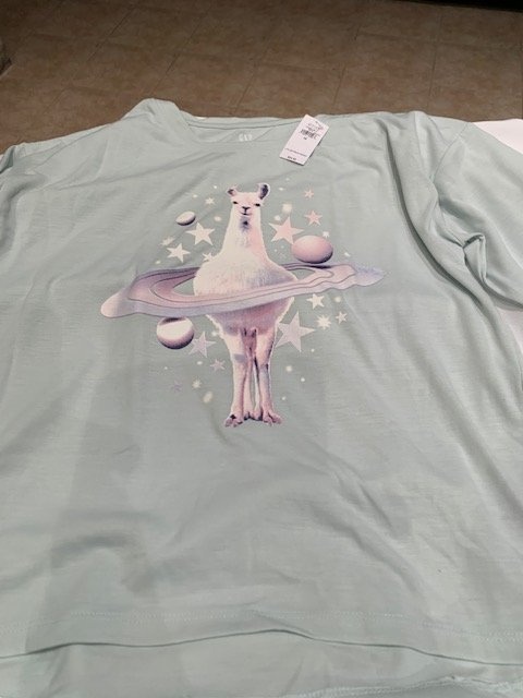 Gap 2 Piece PJ Girls Size 12 - Brand New Tags On - photo 2