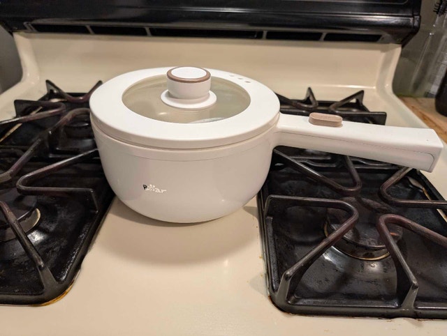 Bear Electric Pot