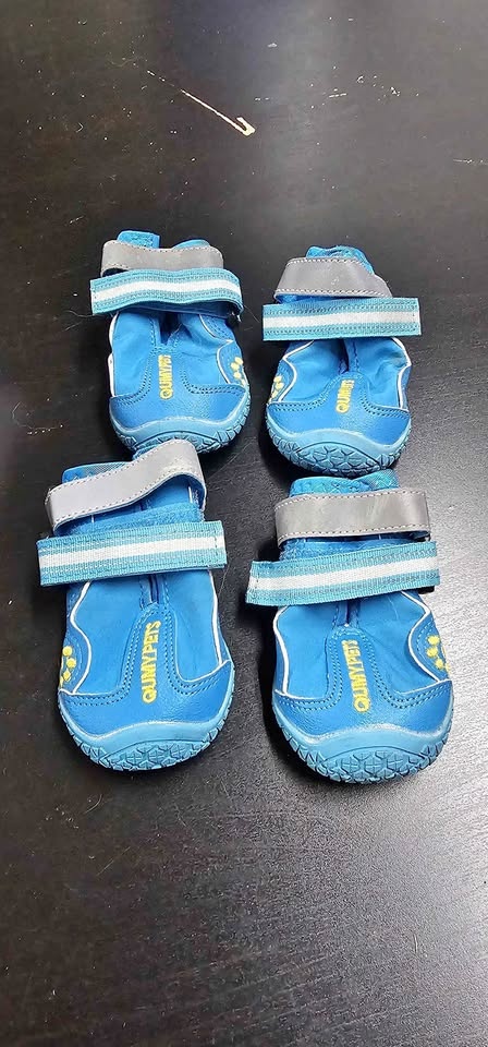 Dog boots