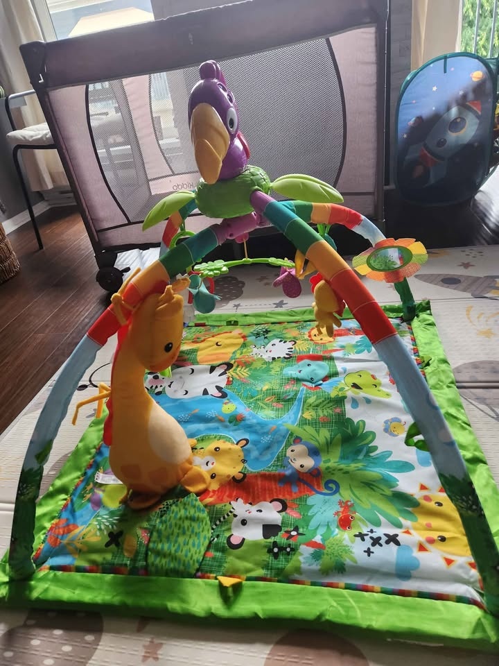 Fisher-Price Baby Playmat Rainforest Music & Lights Deluxe Gym - photo 3