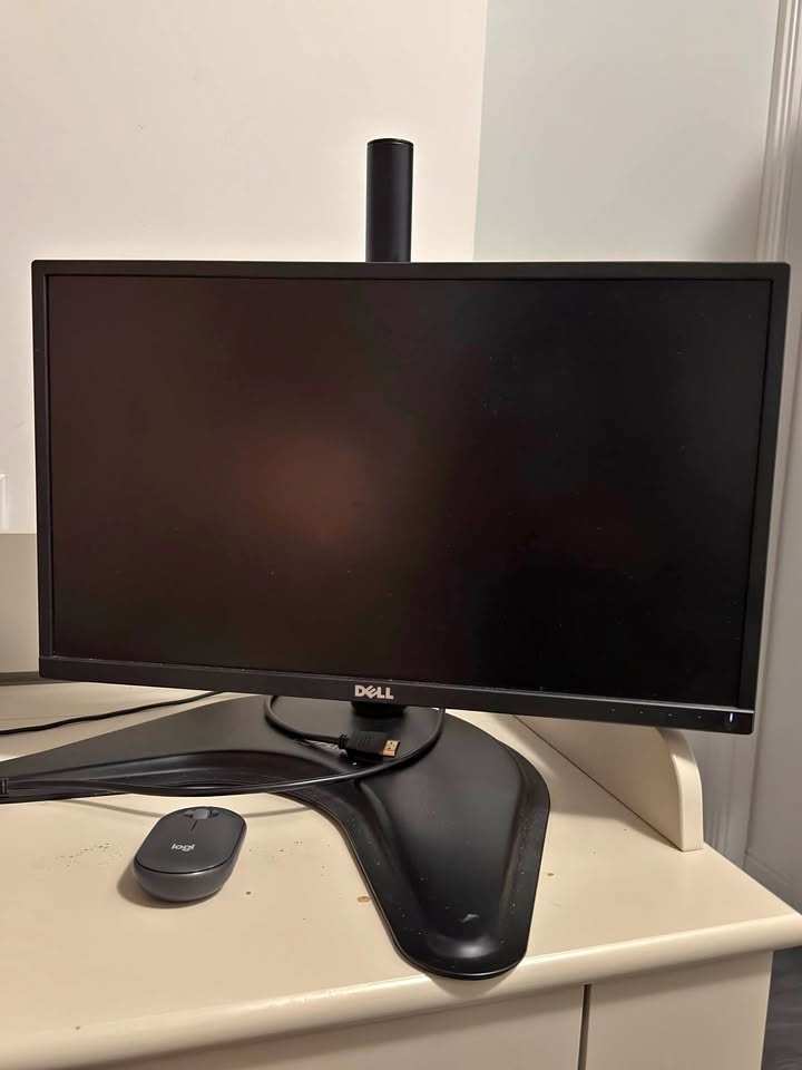 Dell Flat Panel LED Monitor 22-inch