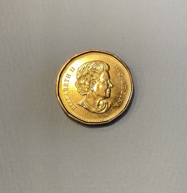 2010 Saskatchewan Roughriders Centennial Dollar Coin - photo 2