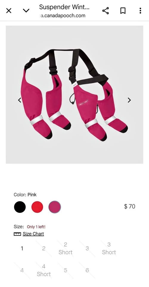 Canada Pooch Suspender Boots