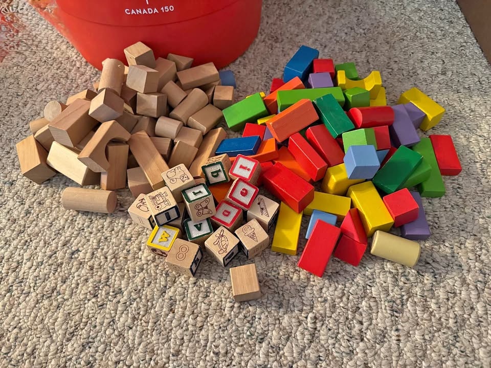 130 Wooden Blocks, some Melissa and Doug