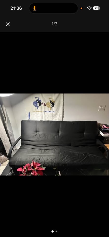 Sofa bed pick-up only - photo 2