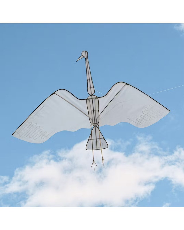 Crane Kite