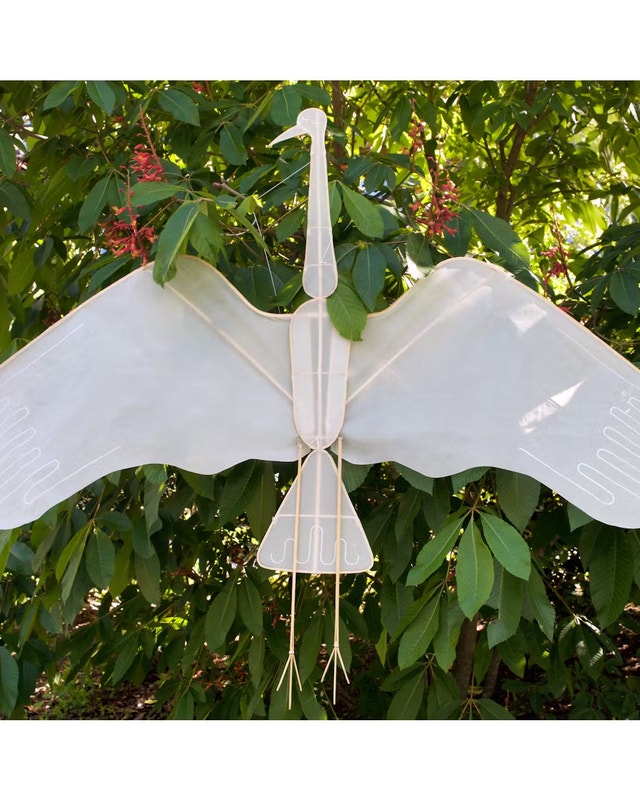 Crane Kite - photo 2