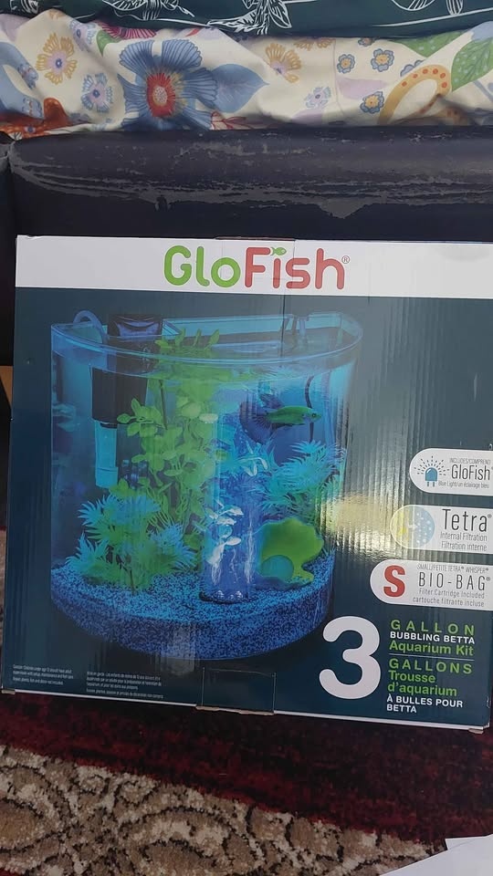 New 3 gallon tank with full setup