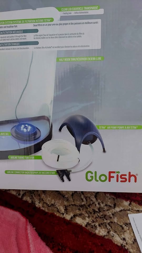 New 3 gallon tank with full setup - photo 4