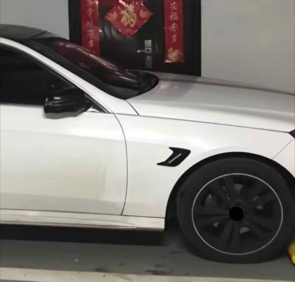 Carbon Fiber Universal Car Shark Gills Fender Side Air Flow Outl - photo 5