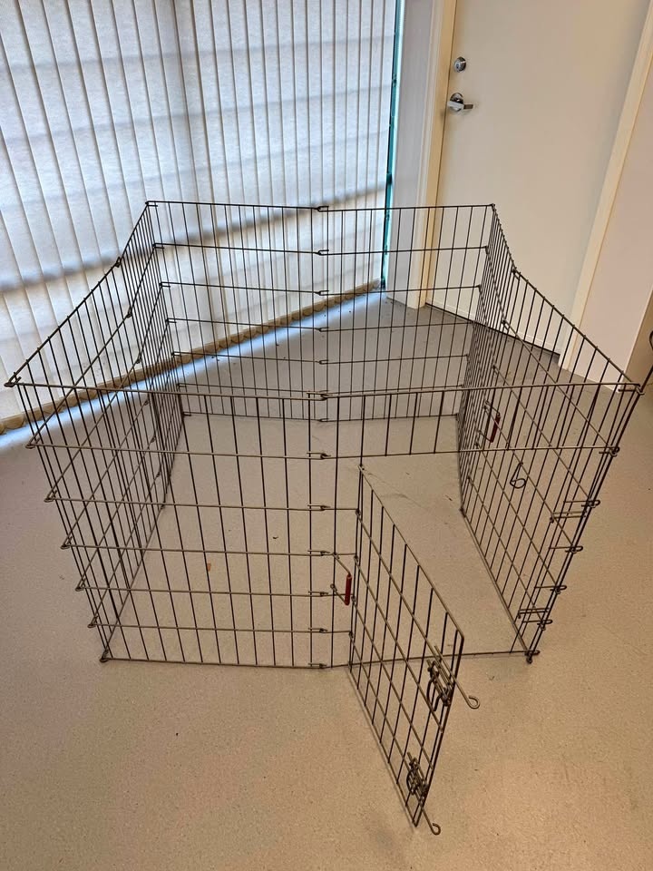 Dog Playpen