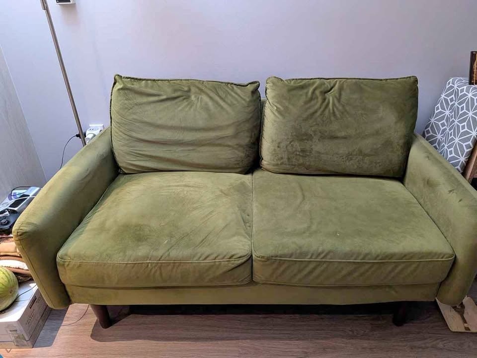 Wayfair 2-person Sofa