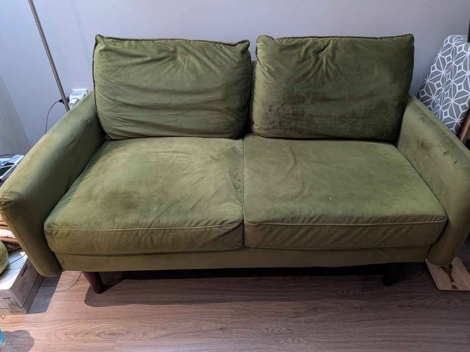 Wayfair 2-person Sofa - photo 2
