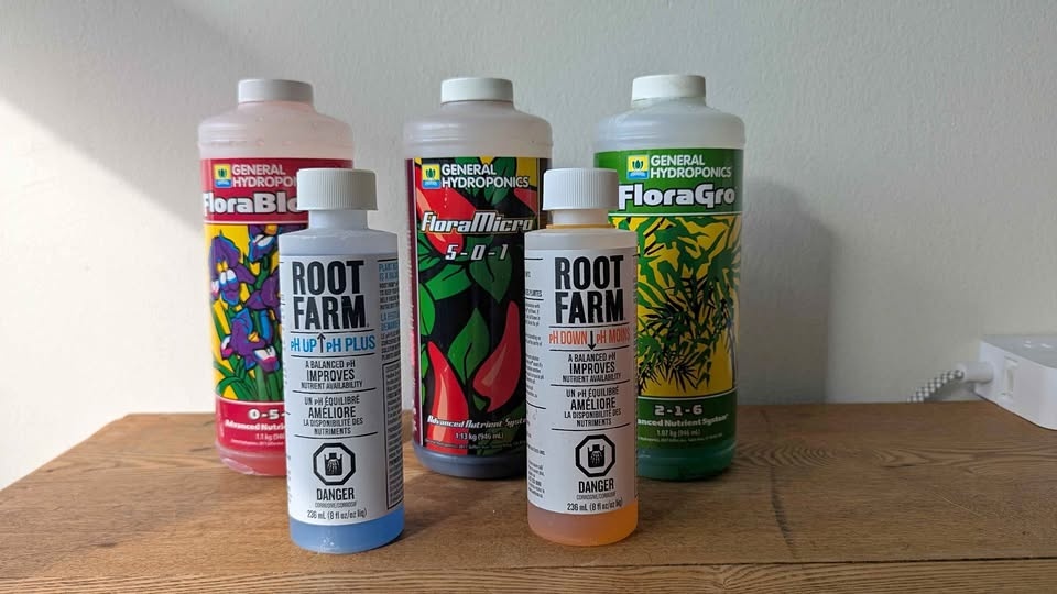 Hydroponic Fertilizers for Houseplants