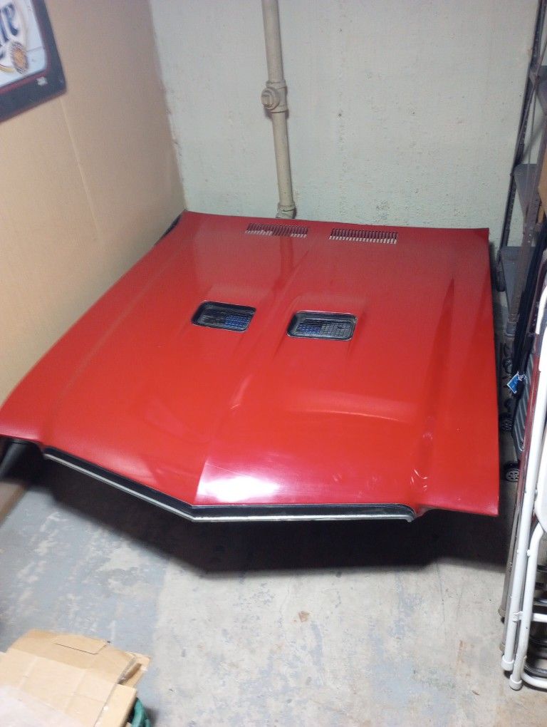 1972 Buick Skylark GS Hood