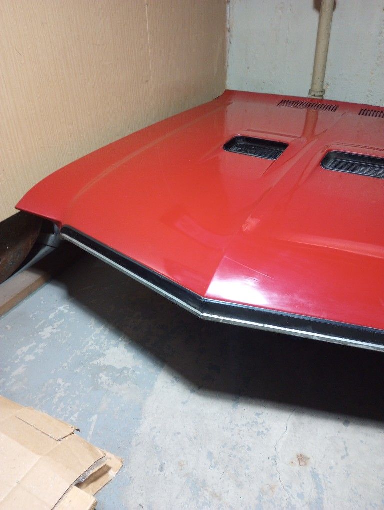 1972 Buick Skylark GS Hood - photo 2