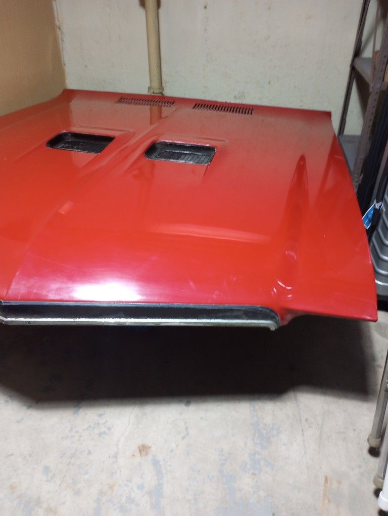 1972 Buick Skylark GS Hood - photo 3