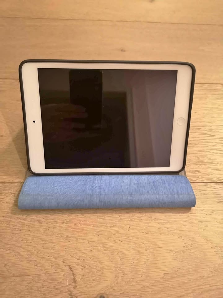 Apple iPad Mini 2 with Case