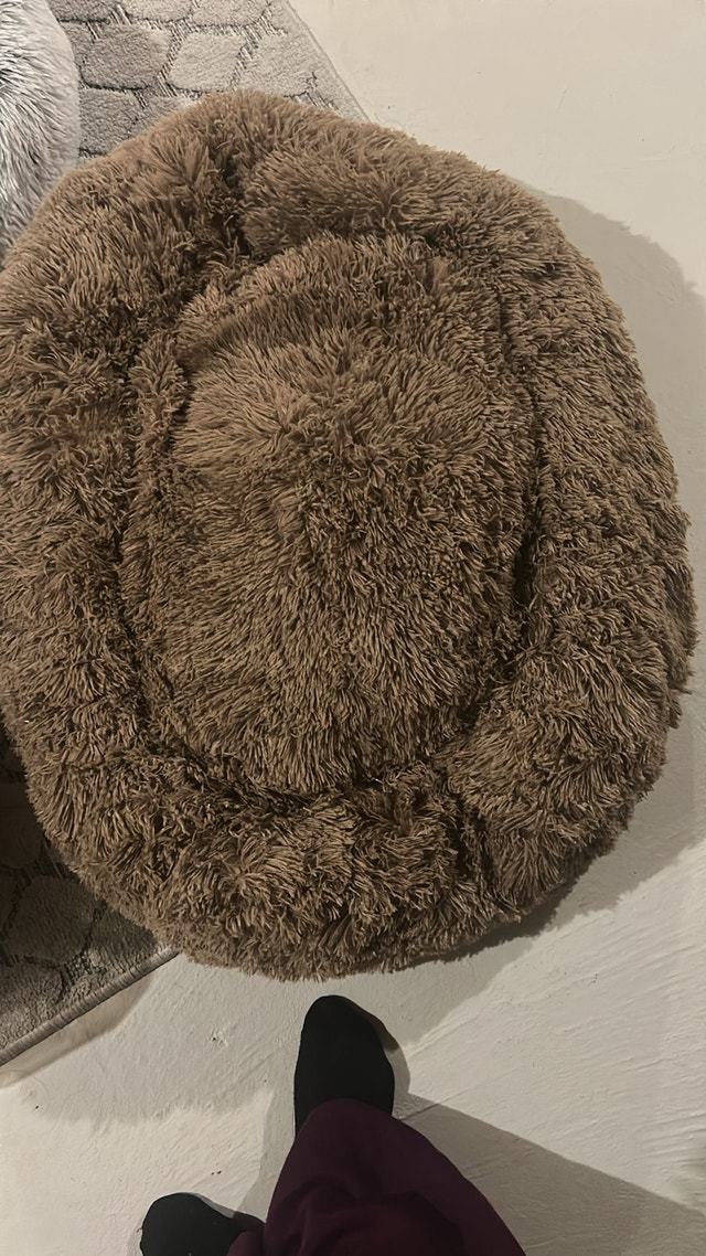 Dog Buddy Pet Bed / Blanket - photo 4