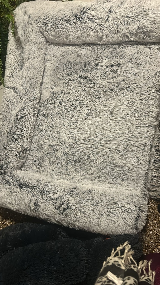 Dog Buddy Pet Bed / Blanket - photo 5