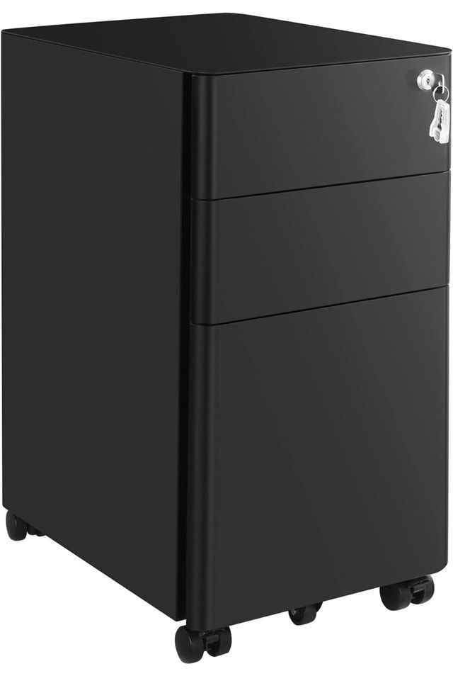 SIDUCAL Filing Cabinet