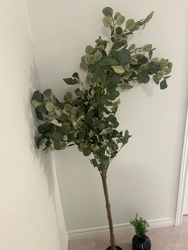 New Artificial Eucalyptus Tree