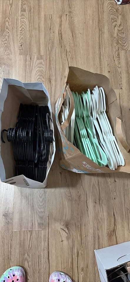 Moving Sale: Plastic Hangers
