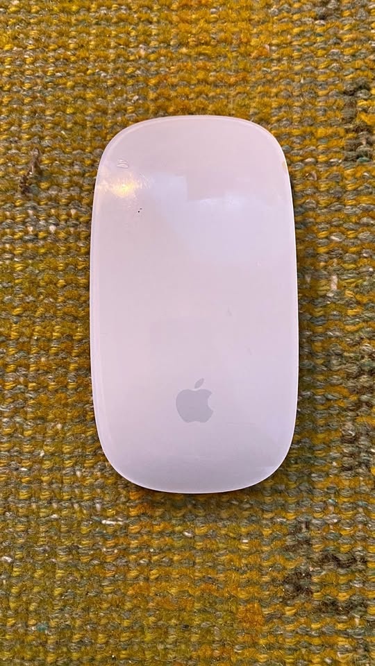 Magic Mouse 1 - Wireless with AA Batteries