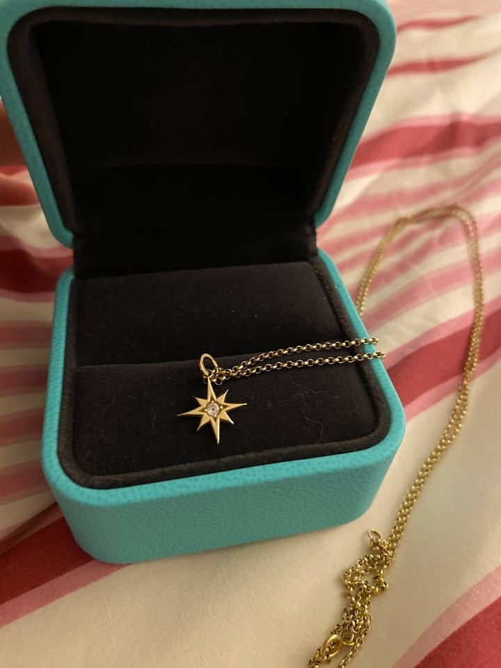 North Star Gold Necklace and Chain - photo 3
