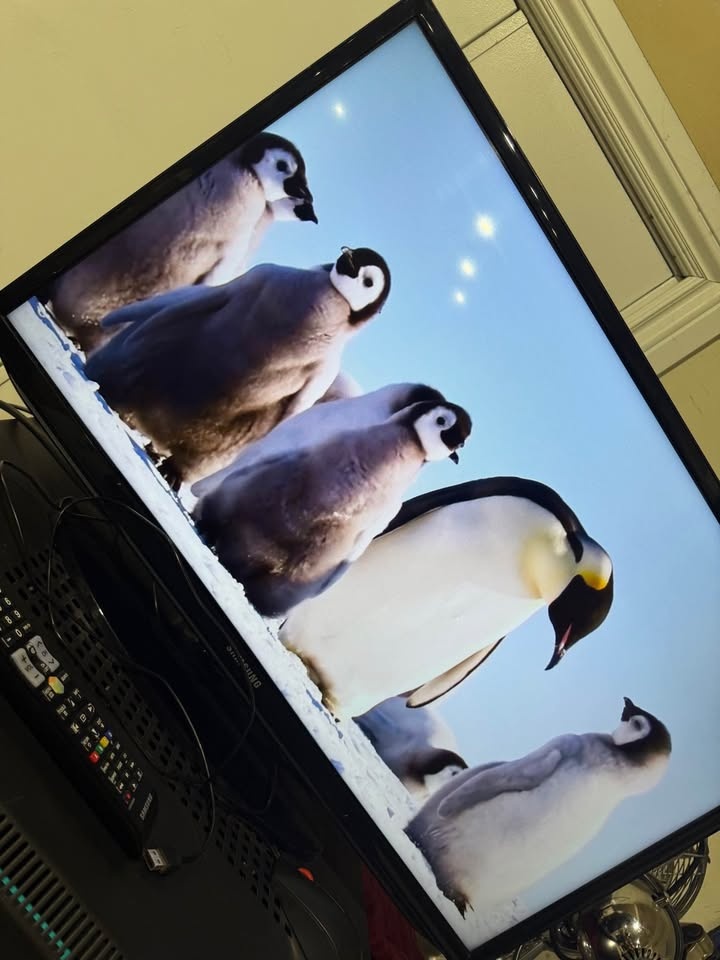 32inch SAMSUNG LED TV & Monitor - photo 3