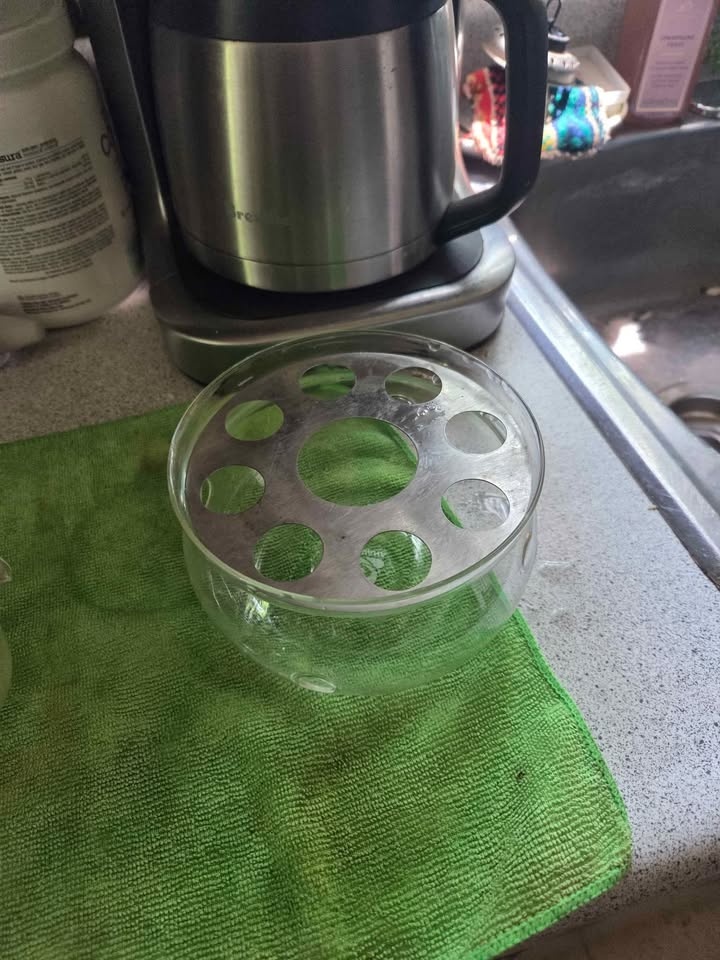 Glass Teavana Teapot - photo 4