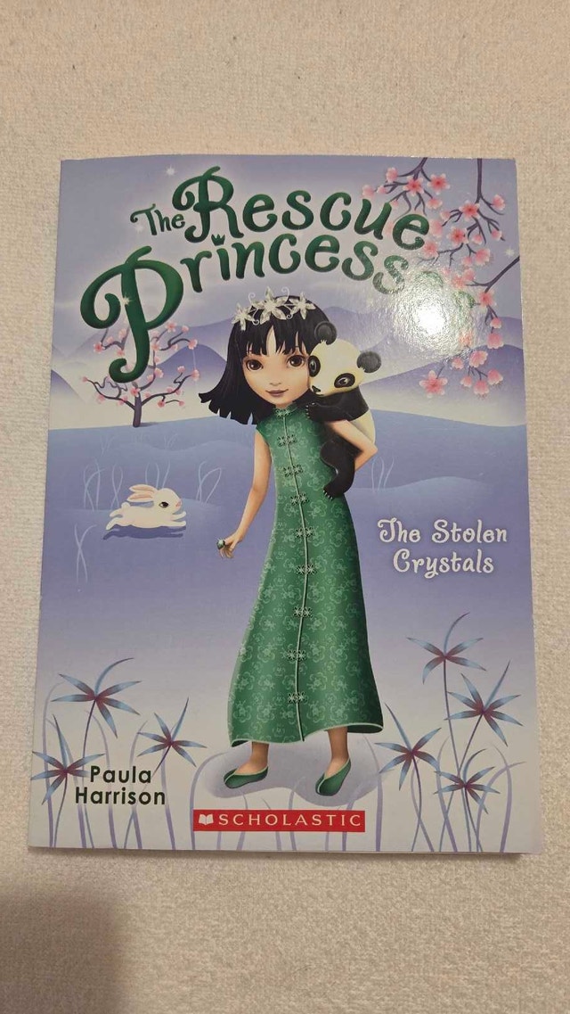 Rescue Princess Book
