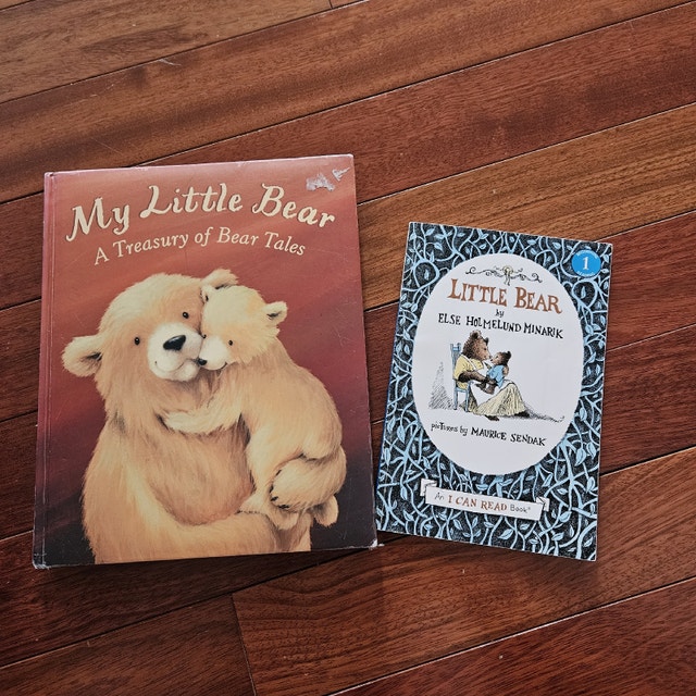 Bear Children's Story Books (2 Books)
