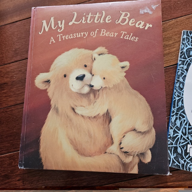Bear Children's Story Books (2 Books) - photo 3