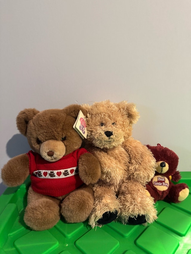 Gund bears $100
