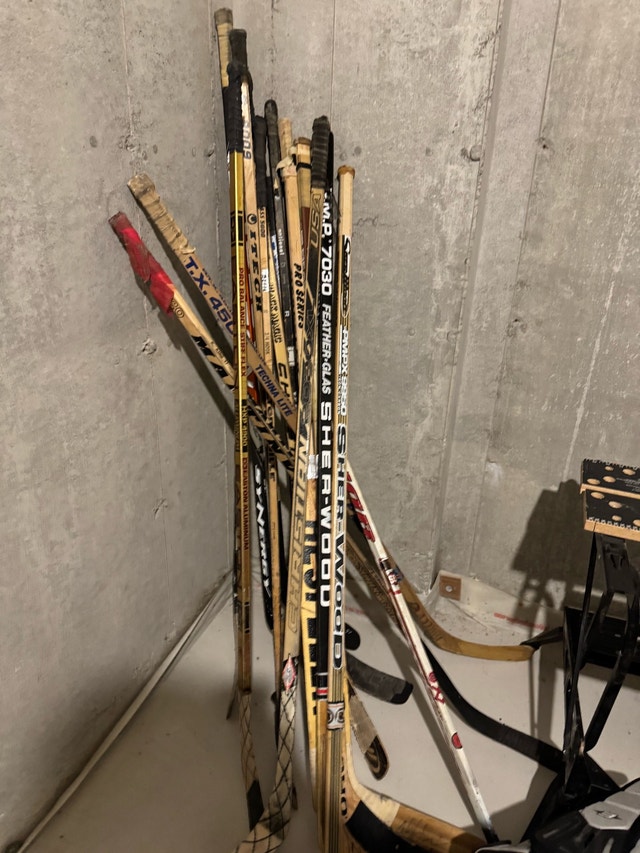 Hockey Equipment Bag with Sticks - photo 2