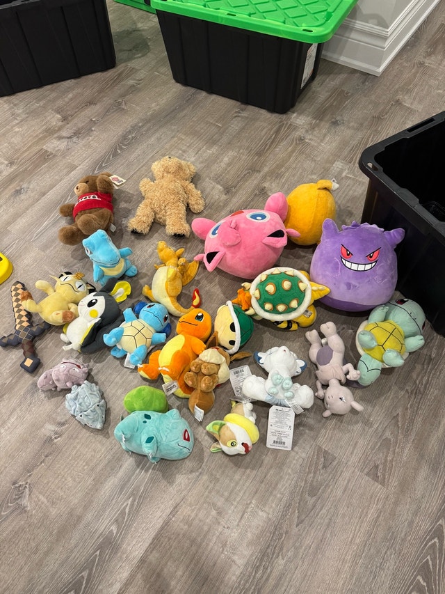 Pokemon Plush Lot