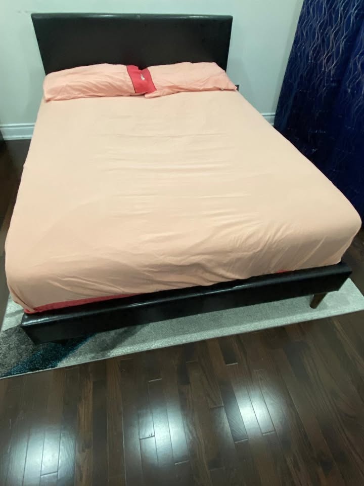 Double Bed Frame, Headboard, and Mattress - $499