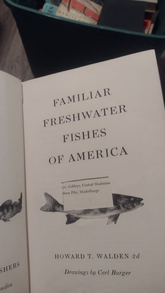 Familiar Freshwater Fish of America