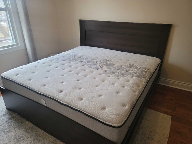 Sealy Posturepedic Proback Plus Geranium King Mattress