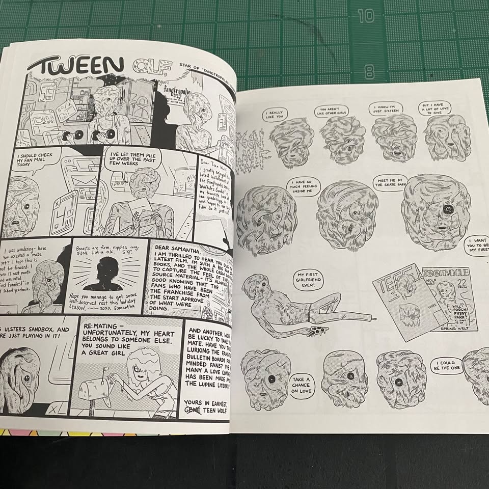 Rare Comics: Toronto 2010's Small Press Pack - photo 3