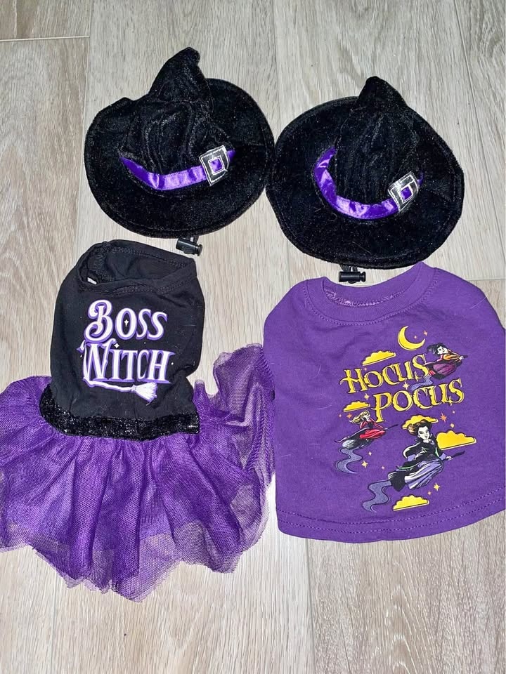 Hocus Pocus Dog & Cat Pet Costumes Halloween